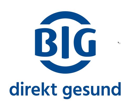 https://www.big-direkt.de/de/leistungen/digitale-services-und-therapieprogramme/big-everordnung 